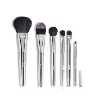 Factory vendor OEM beauty 6 pieces private label professional quality silvery white aluminum tube wool brush makeup sets